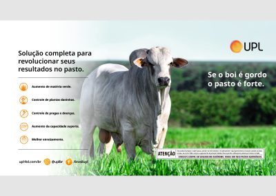0000A_Peças Portfólio - PASTAGEM - Site Duas_800x600_01