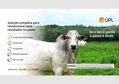 0000A_Peças Portfólio - PASTAGEM - Site Duas_800x600_02